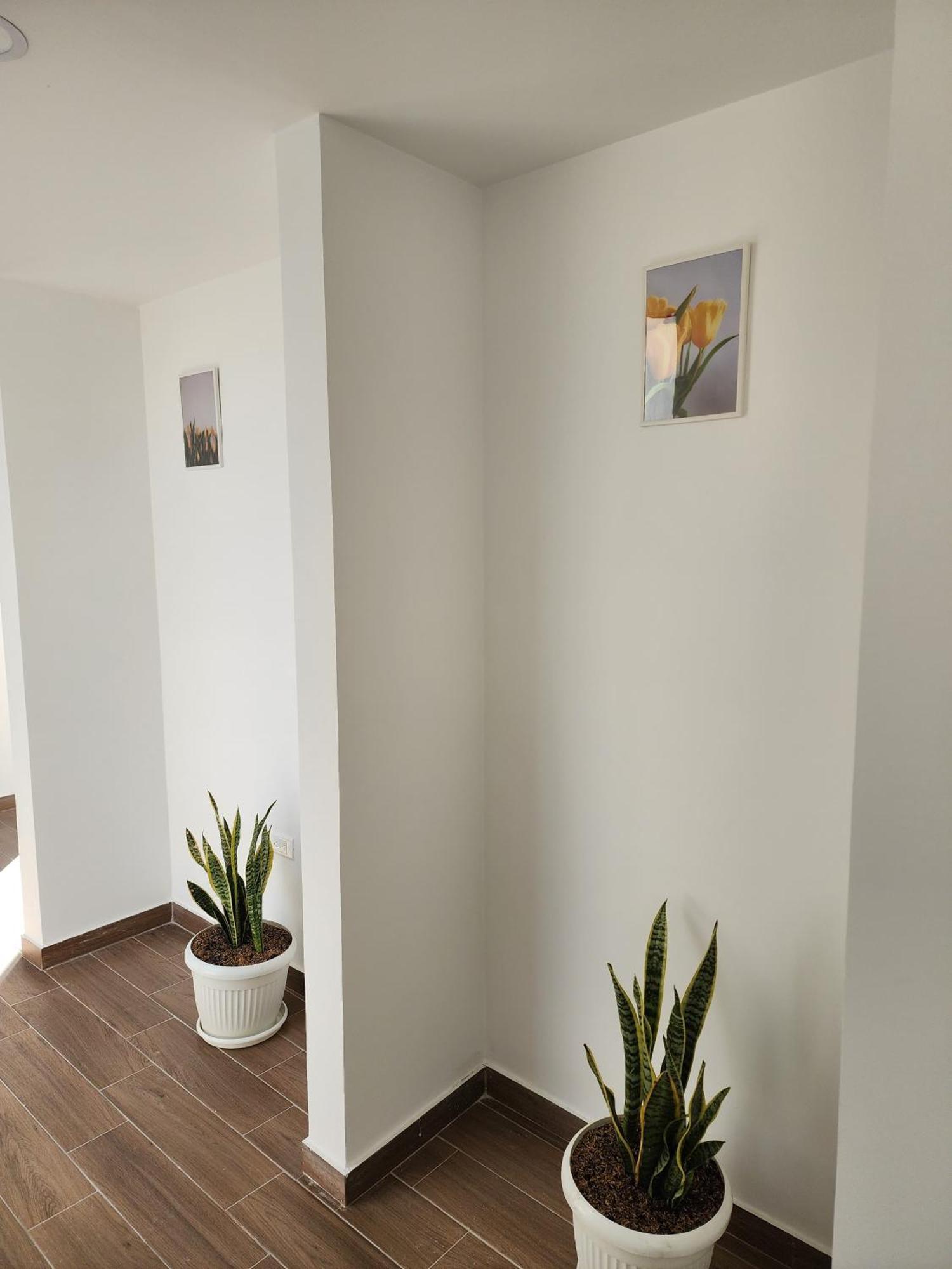 Apartamento Nuevo, Tulipan Amarillo Sogamoso